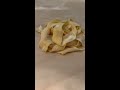 YOU don’t need a pasta machine!