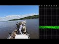 BIG Crappie and Catfish on Lake Darbonne!!!  Full-Screen LiveScope Fishing Footage!!!  Trip #10