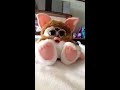 Old video of my Gizmo Furby