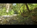 Mountain river. Stream Nature Sound. Relaxing Stream Sounds.