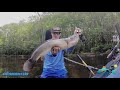 Mammoth Bowfin From the Most Aesthetic Spot - Standing on a Boulder in the Withlacoochee River