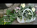 Making winter plantings*3 types/Gardening