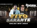 YIYO SARANTE SALSA MIX - 2024 LAS MAS PEGADA DJ YORK