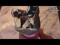 【カロリー爆弾】生クリーム盛り盛りのオレオクレープを作ってみた/creamy Crepe compilation/Cooking/Home cook/OREO/크레페