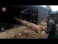 Dangerous Automatic Homemade Firewood Processing Machines, Fastest Powerful Wood Splitting Machines