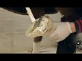 Farrier Horse Hoof Repair Horseshoeing Restoration -Oddly Satisfying
