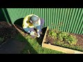 Helping an Elderly Customer with some Garden Landscaping | Garden Makeover