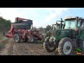 *Fagioli 2021* | Claas Arion 460 | Colombo Double Master II