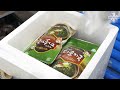 Amazing Korean snail soup made by hand! etc. BEST 8 korean food factory