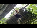 How To Build Bamboo House In Forest With Girl | Lý Thị Ca - Ep.67