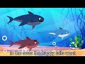 Baby Shark Song Of Hope - Kids Songs and Nursery Rhymes - Save The Planet #babyshark #savetheplanet