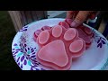 Watermelon And Bone Broth Frozen Dog Treats | DIY Dog Treats Recipe 104