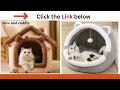 Very cute Kittens and cats playing ASMR #video #viral #foryou