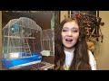 Reacting to My Subscribers’ Bird Cages! | Pt. 3