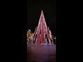 Lithuania.  Vilnius Christmas Tree 2020/2021