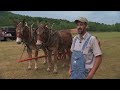 Middle Tennessee Mule Skinners | Tennessee Crossroads | Episode 2602.1