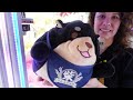 CLAW MACHINE SHOWDOWN! Epic Prize Battle at Round 1 Arcade