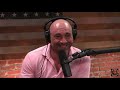 Joe Rogan & Elon Musk - Are We in a Simulated Reality?