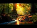 Relaxing Music with Water & Bird Sounds to Calm The Mind, Soul & Body 🌿 Stop Thinking | Sleep🧘‍♀️