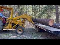 My Small Scale Logging Operation