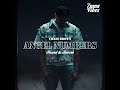 Chris Brown - Angel Numbers / Ten Toes [𝒔𝒍𝒐𝒘𝒆𝒅 + 𝒓𝒆𝒗𝒆𝒓𝒃]