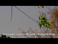 Meiko Kaji - Lady Blue with Lyrics (Full HD)  - Olympus OM-D E-M5 Video Test