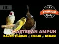 Masteran Ampuh Kombinasi Cililin 🔴 Kapas Tembak 🔴 Kenari