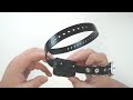 Get Started with the DOGTRA YS300 No Bark Collar- for Small to Medium Dogs | eDog Australia