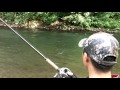 Coastal salmon fishing on the trask river