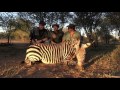 Wild Trophy Hunts: Zebra hunt in Namibia, South Africa 2016