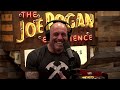 Fear Is What Keeps You From Becoming Successful | JOE ROGAN & THEO VON