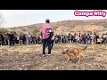 rituales de petición de lluvia en la esperanza Gro, Mx. 2024