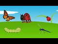 Insects, Insects Name, Insects For Kids, Learn Insects, Names Of Insects, Creepy crawlies, Bugs.