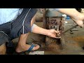 EPISODE 4/ Restoration of 1950's YANMAR NT65  / HOW TO REMOVE  STACKED UP piston Rings/FARMECH vLOGs