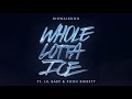 BigWalkDog - Whole Lotta Ice (feat. Lil Baby & Pooh Shiesty) [Official Audio]