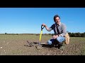 Iron Age ⭐️GOLD⭐️ and ROMAN Jewellery - DAZZLING Metal Detecting UK!