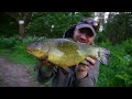 I Captured Fish Behavior NEVER SEEN BEFORE! After Putting My Camera in The Canal!