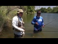 Bank Fishing for Shad, American River!