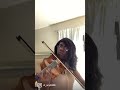 Wake me up when September ends by Green Day violin cover