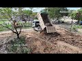 COMPLETE 100% Delete Pit By Mini Dump Truck Working Unloading Soil And Bulldozer D31P Push The Soil
