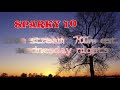 Live Stream on Wednesday night's with Sparky 107107 @ 7:00 pm EST.