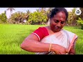 😍வீட்ல சீக்கிரம் விசேஷம்🎉வரப்போகுது |HAPPY NEWS❤️AFTERNOON LUNCH WITH VARSHA|COCONUT MILK OIL