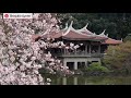 Top 10 Cherry Blossom Spots in Tokyo | japan-guide.com