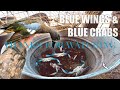 Duck Hunting and Catching Blue Crabs in the SAME SPOT!! 12/23