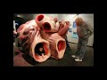 Blue whale's heartbeat from 2 miles! FactAmaze #shorts