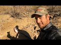 Prospecting Arizona: Detecting Gold Nuggets