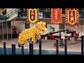 International Lion Dance Competition