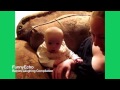 BEST Babies Laughing Videos Compilation