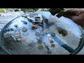 A fun week Metal Detecting with my Vanquish 540