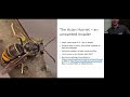 Irish Entomology Meeting 2023 ~ Red Lists - Session 2, Part 4, with Owen Beckett